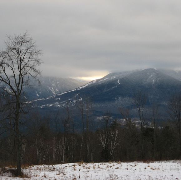 Joy - Picture 5 of 8